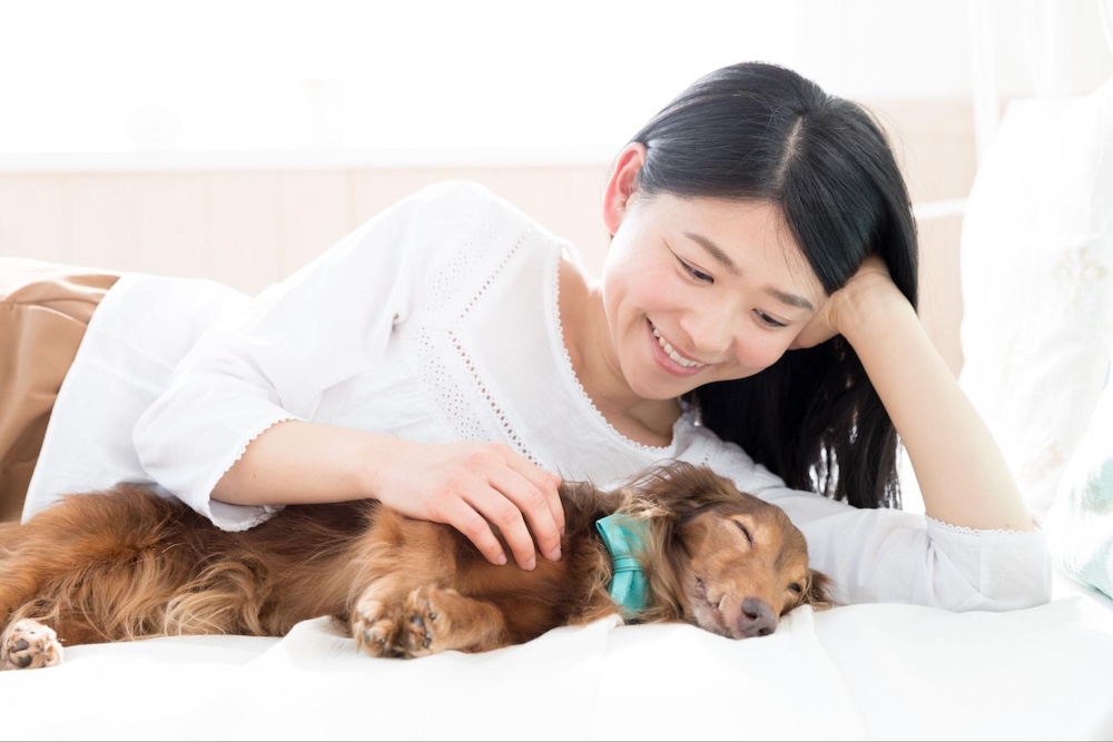 【専門家監修】犬が添い寝してくるのはどうして？愛犬と添い寝するメリットやリスクを解説