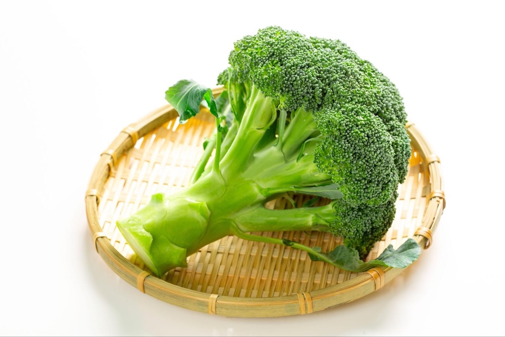 犬はブロッコリーを食べても大丈夫？与えるメリットや注意点について解説【動物栄養管理士監修】
