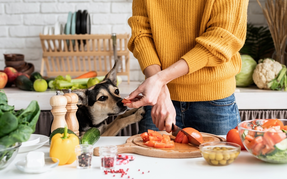 犬はトマトを食べても大丈夫？与え方＆注意点（危険な部位など）を解説