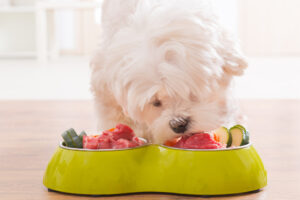 犬は豚肉を食べても大丈夫ですか？