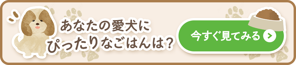 あなたの愛犬にぴったりなごはんは？今すぐ見てみる