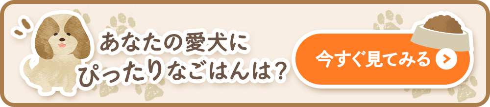 あなたの愛犬にぴったりなごはんは？今すぐ見てみる