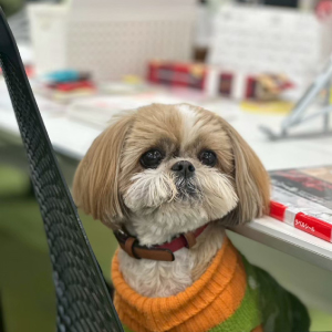 お迎え時の写真