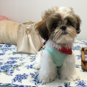 お迎え時の写真