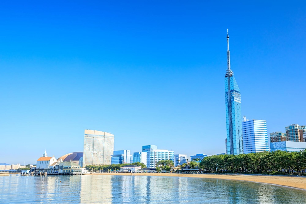【専門家監修】福岡のおすすめドッグラ…