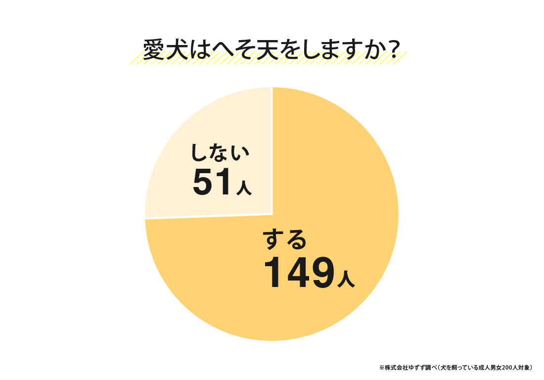 愛犬がへそ天するかどうかのアンケート結果