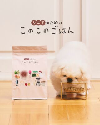 国産無添加のドッグフードブランド┃コノコトトモ二