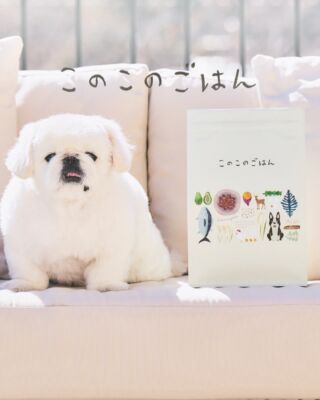 5つの約束 | コノコトトモニ