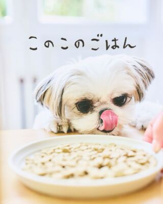 コノコトトモニ」とは？ | コノコトトモニ